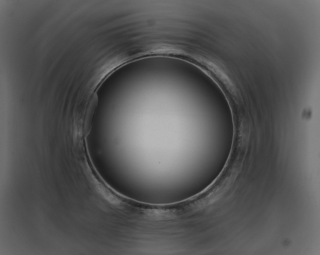 X0000097771281200803071309