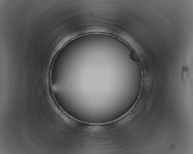 X0000097771282200803071309