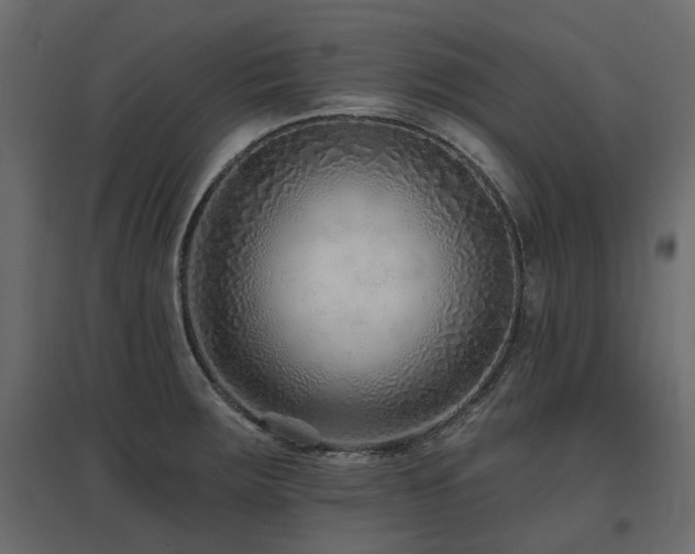 X0000097771283200803071309