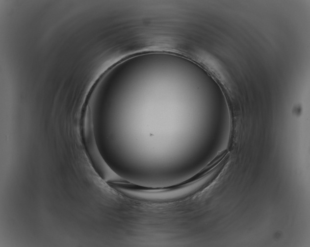 X0000097771284200803071309