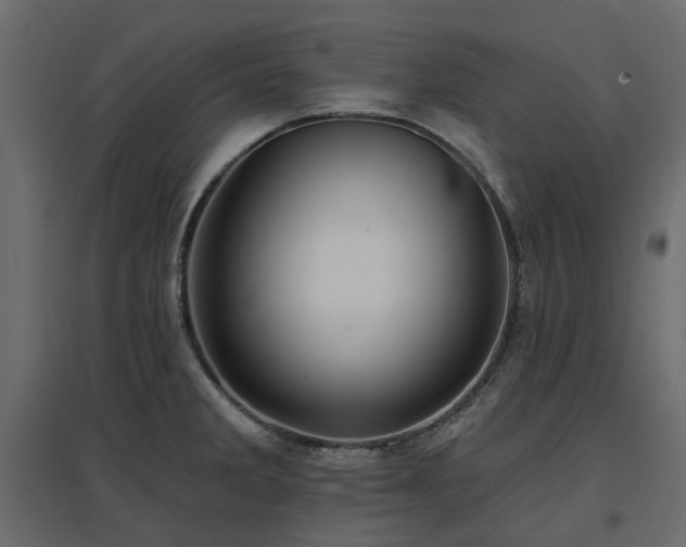 X0000097771285200803071309