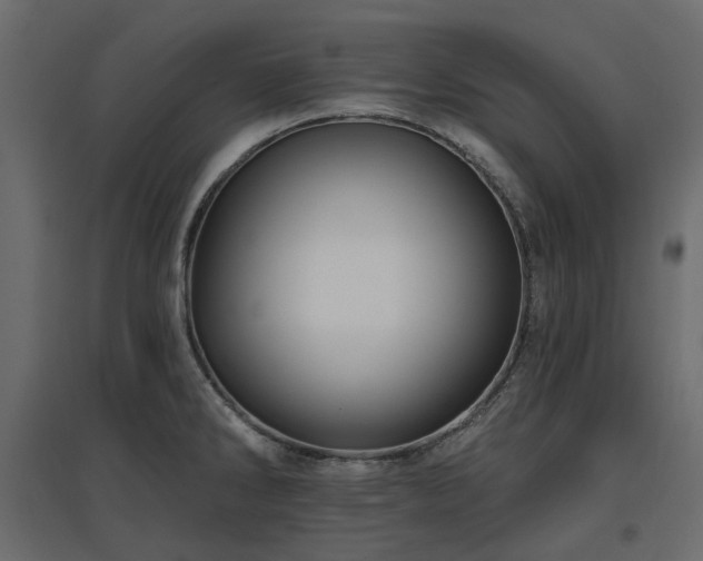 X0000097771286200803071309