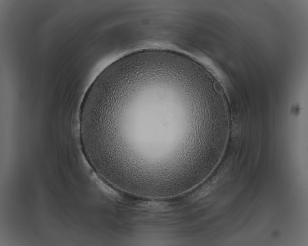 X0000097771287200803071309