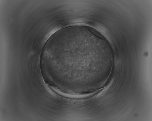 X0000097771289200803071309