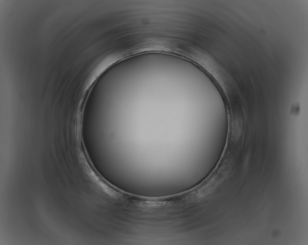 X0000097771290200803071309