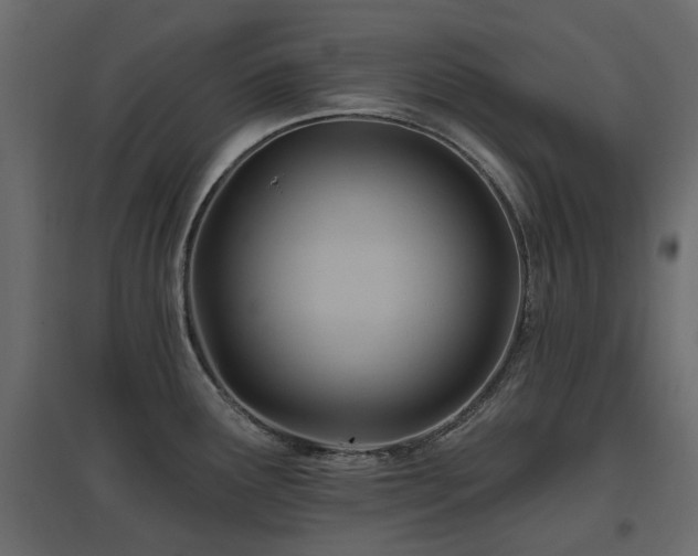 X0000097771291200803071309