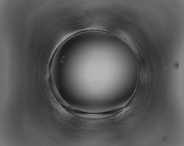 X0000097771292200803071309