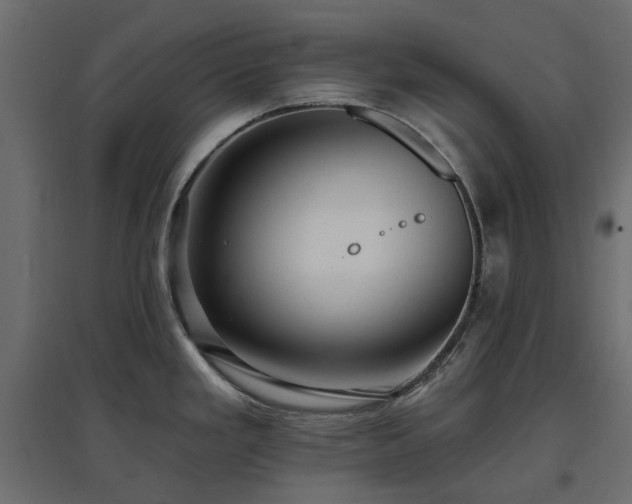 X0000097771293200803071309