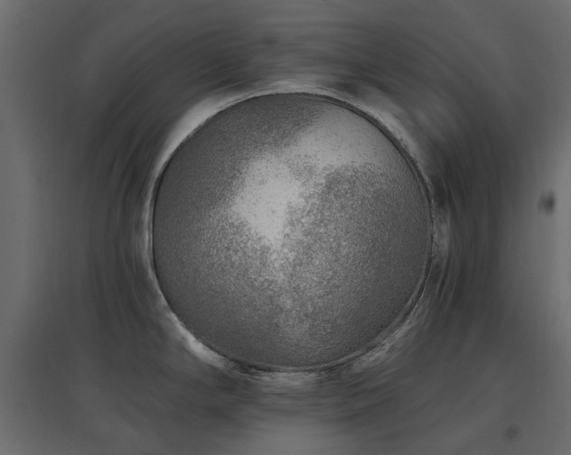 X0000097771294200803071309