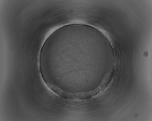 X0000097771295200803071309