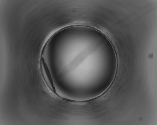 X0000097771296200803071309
