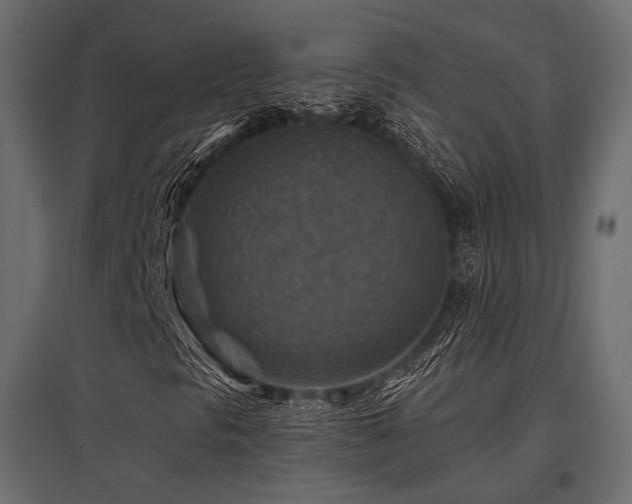 X0000097771297200803071308
