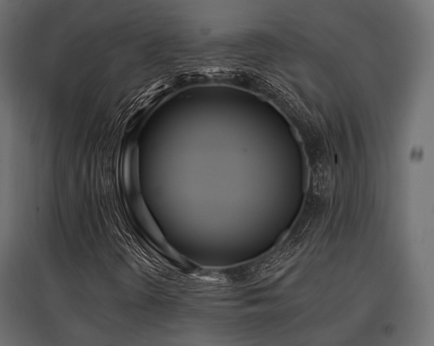 X0000097771298200803071308