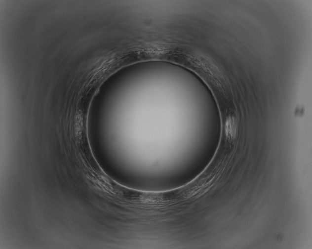X0000097771299200803071308