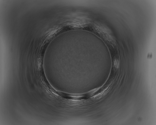 X0000097771300200803071308