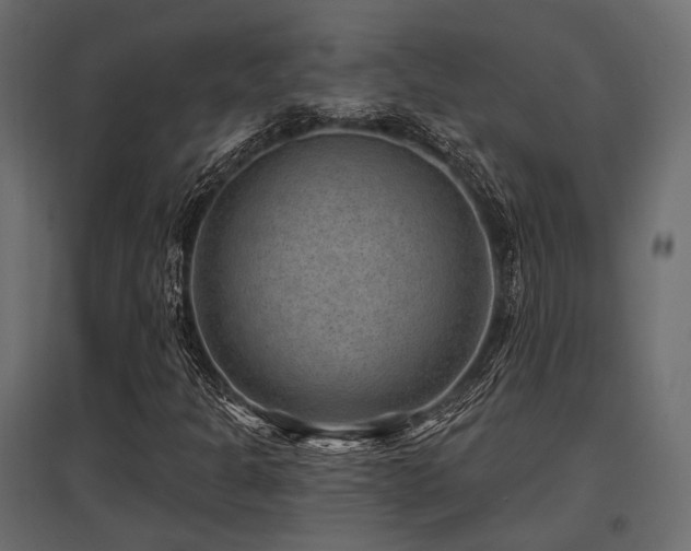 X0000097771301200803071308