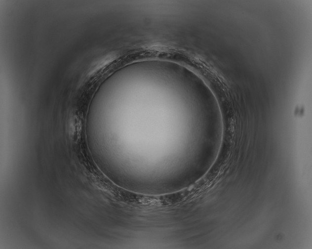 X0000097771302200803071308