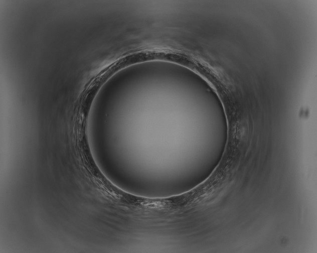 X0000097771303200803071308