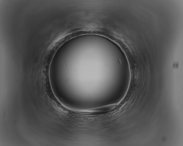 X0000097771304200803071308