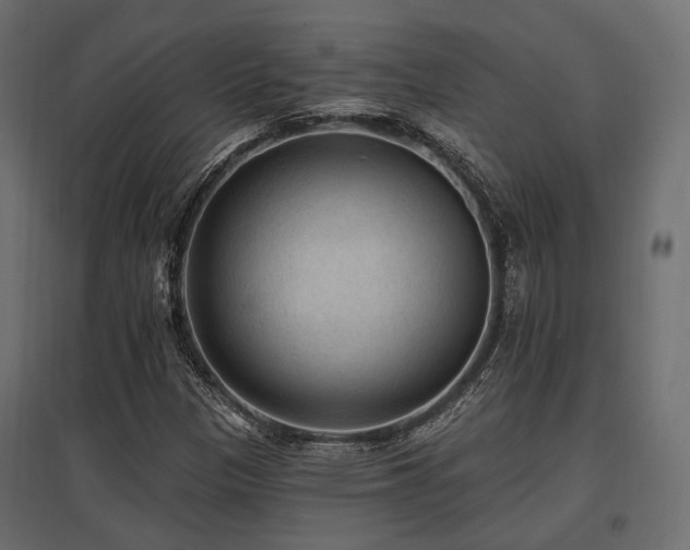 X0000097771305200803071308
