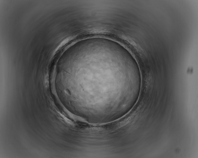 X0000097771306200803071308