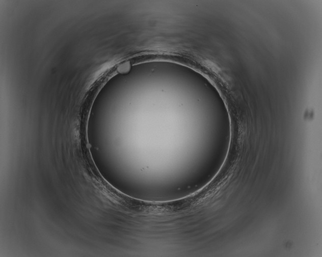 X0000097771307200803071308