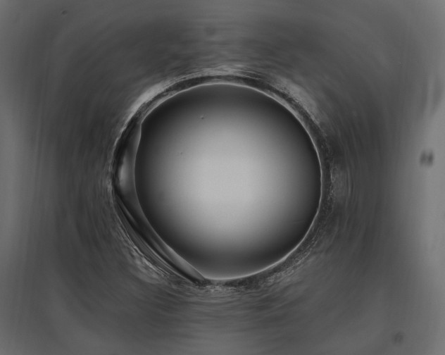 X0000097771308200803071308