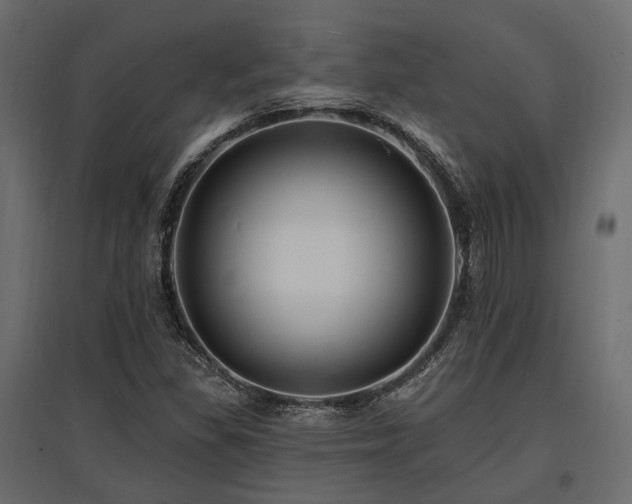 X0000097771309200803071308