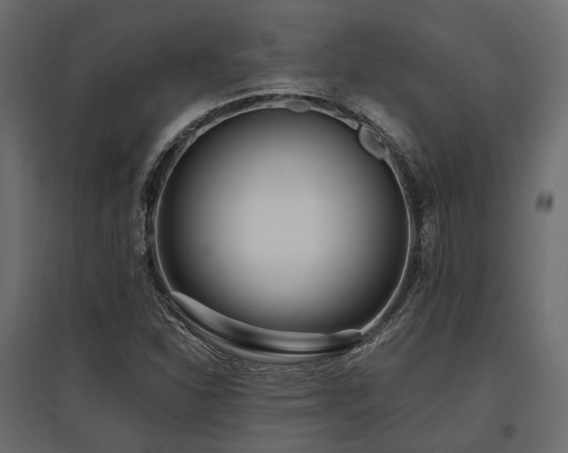 X0000097771310200803071308