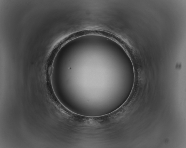 X0000097771311200803071308