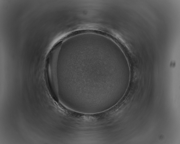 X0000097771312200803071308