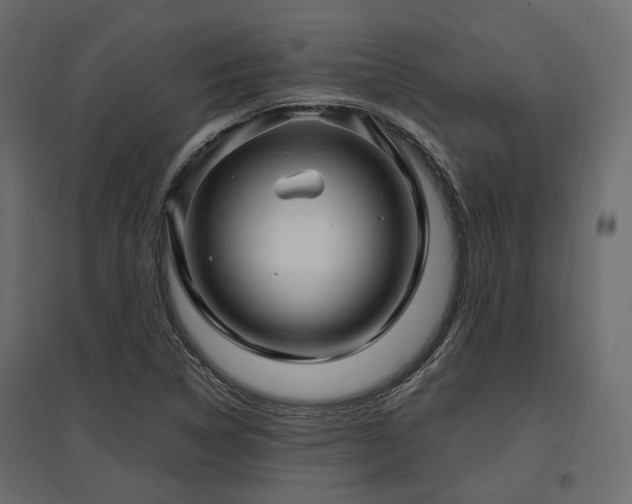 X0000097771314200803071308