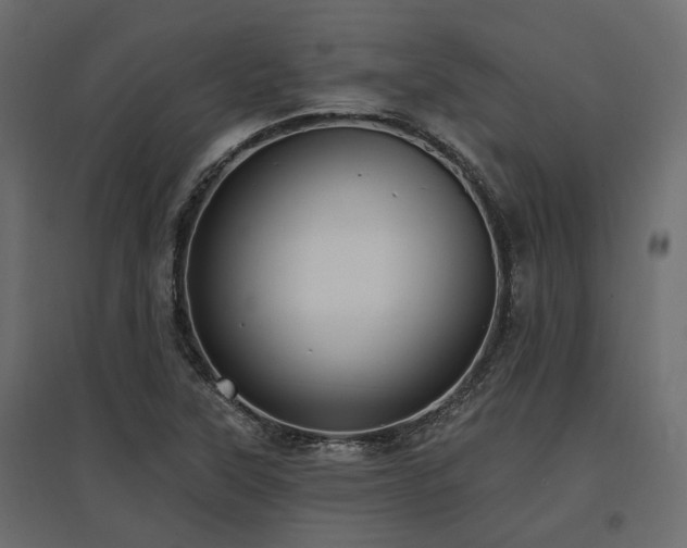 X0000097771315200803071308