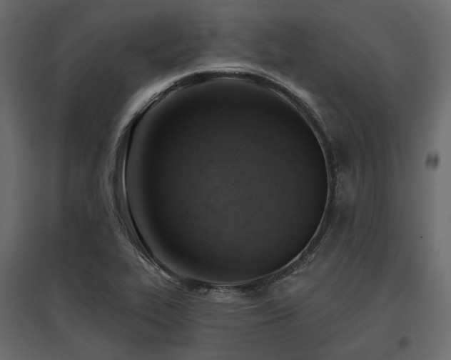 X0000097771319200803071308
