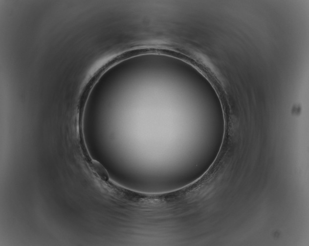 X0000097771320200803071308