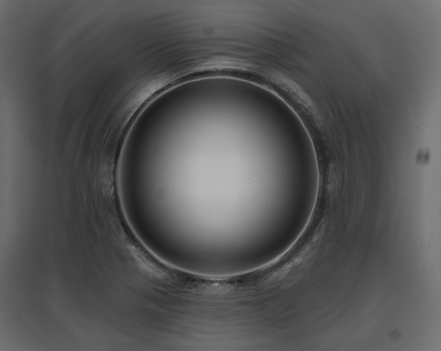 X0000097771321200803071308