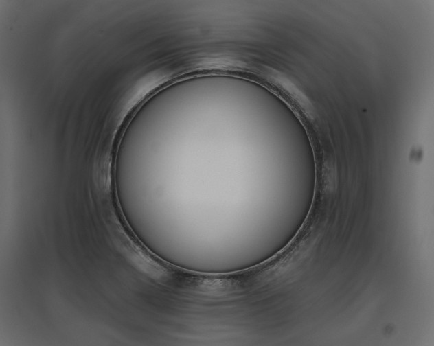 X0000097771322200803071308