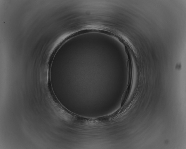 X0000097771323200803071308