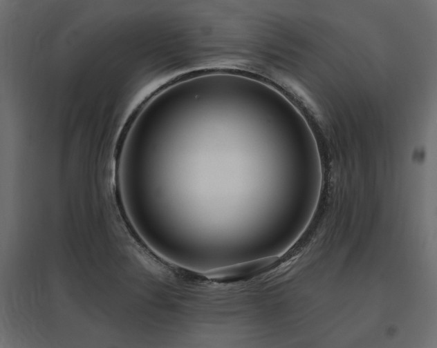 X0000097771324200803071308