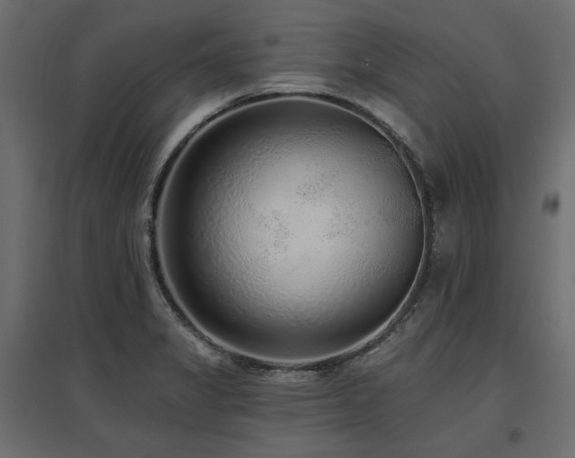 X0000097771325200803071308