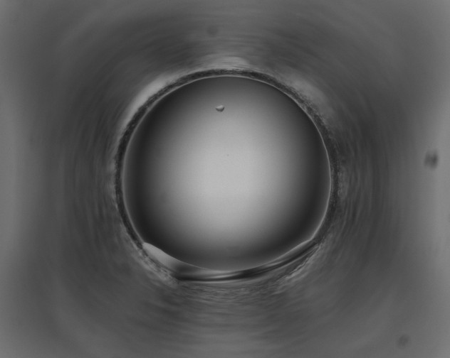 X0000097771326200803071308