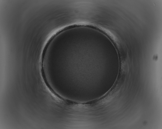 X0000097771327200803071308