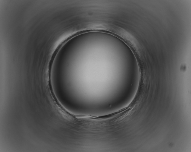 X0000097771328200803071308