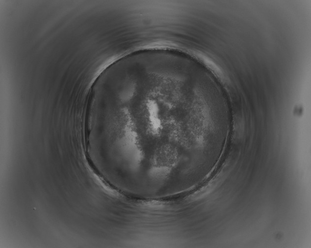 X0000097771329200803071308