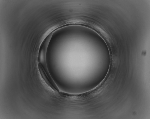 X0000097771330200803071308