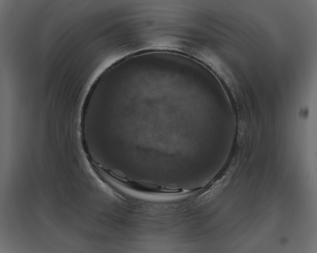 X0000097771331200803071309