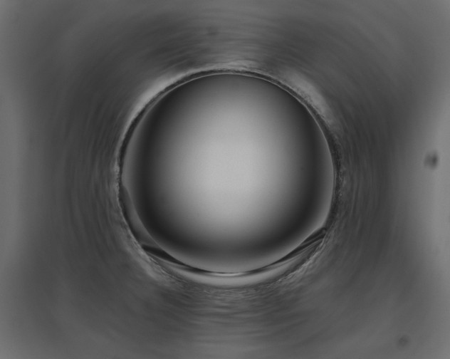 X0000097771332200803071309