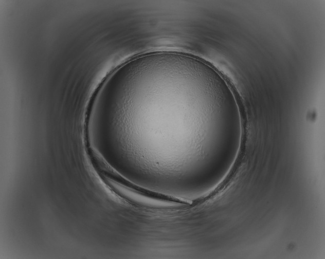 X0000097771333200803071309