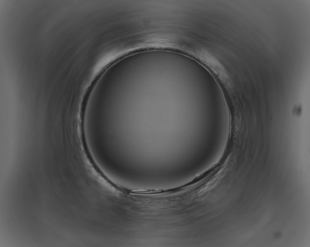 X0000097771334200803071309