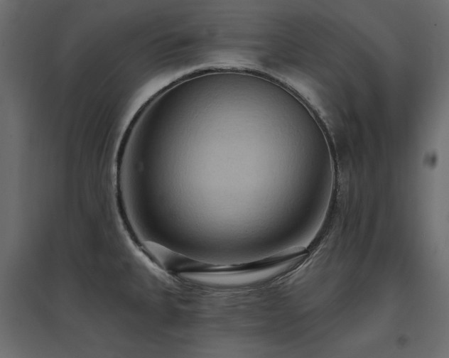 X0000097771335200803071309